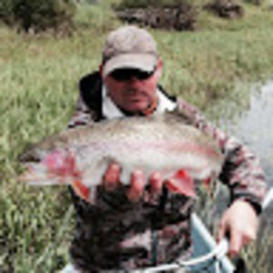 Meet your Posher, Wellsitefish